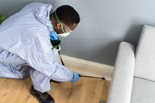 Real Estate Pest Inspections in Bradford Woods, PA